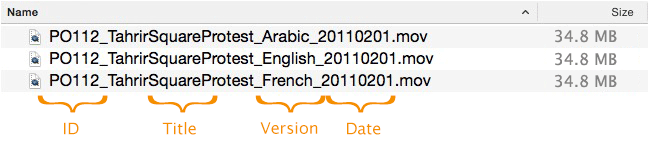 Name your edited video files consistently, following a template.